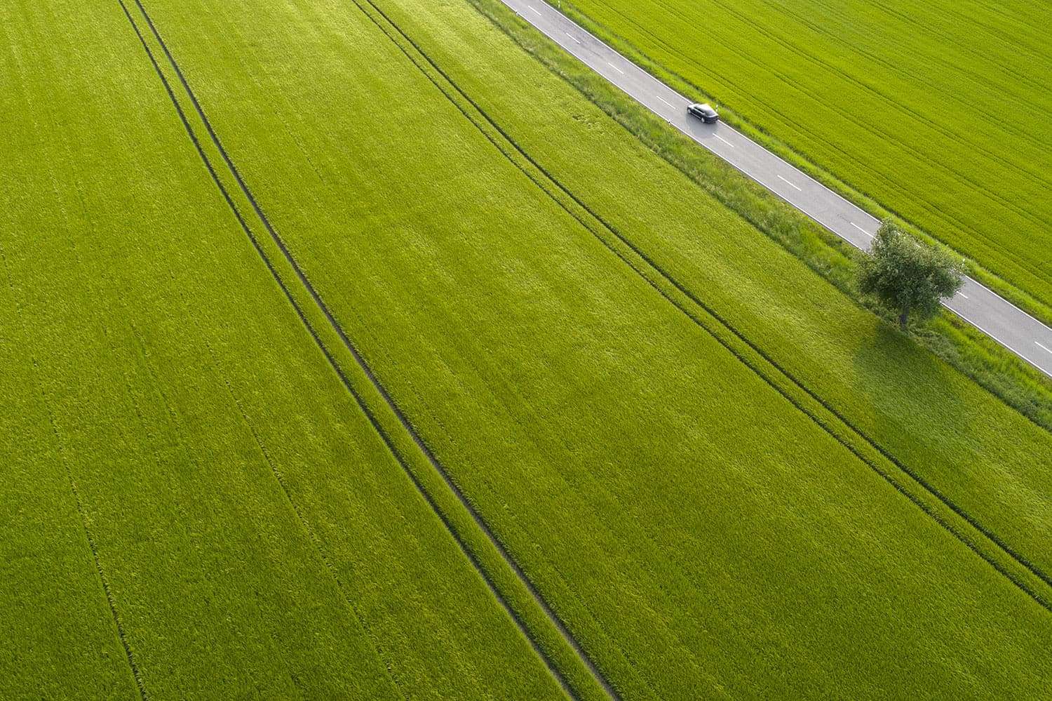 Road Through Agricultural Area Aerial View Drive EV Fleets road-through-agricultural-area-aerial-view-drive-ev-fleets